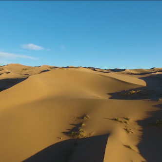 Desert
